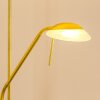 Lampadaire Biot LED Laiton, 2 lumières