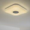 Plafonnier NUTAK LED Blanc, 1 lumière, Télécommandes, Changeur de couleurs