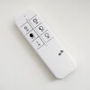Plafonnier NUTAK LED Blanc, 1 lumière, Télécommandes, Changeur de couleurs