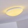 Plafonnier Brighton LED Blanc, 1 lumière, Télécommandes, Changeur de couleurs