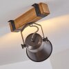 Spot de plafond Oksbol Gris, Brun clair, Acier brossé, 1 lumière