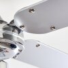 Ventilateur de plafond Valletta Chrome, Argenté, Blanc, 1 lumière