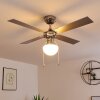 Ventilateur de plafond Valletta Chrome, Argenté, Blanc, 1 lumière
