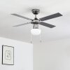 Ventilateur de plafond Valletta Chrome, Argenté, Blanc, 1 lumière