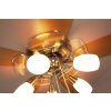 Ventilateur Globo JERRY Chrome, Acier inoxydable, Nickel mat, 5 lumières