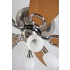 Ventilateur Globo JERRY Chrome, Acier inoxydable, Nickel mat, 5 lumières