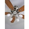 Ventilateur Globo JERRY Chrome, Acier inoxydable, Nickel mat, 5 lumières