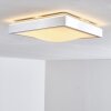 Plafonnier LED SORA Nickel mat, 1 lumière