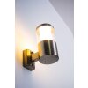 Applique extérieure Leon LED Acier inoxydable, 1 lumière