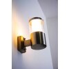 Applique extérieure Leon LED Acier inoxydable, 1 lumière