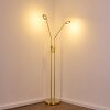 Lampadaire Gulkana LED Or, 2 lumières