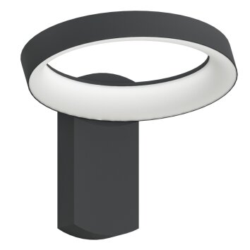 Applique murale d'extérieur Eglo PERNATE LED Anthracite, 1 lumière