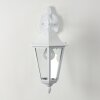 Applique murale d'extérieur Esteli Blanc, 1 lumière