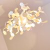 Plafonnier Kuumu Blanc, 1 lumière
