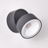 Applique murale d'extérieur Ripen LED Anthracite, 1 lumière
