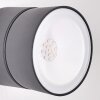 Applique murale d'extérieur Ripen LED Anthracite, 1 lumière