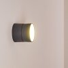 Applique murale d'extérieur Ripen LED Anthracite, 1 lumière