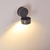 Applique murale d'extérieur Ripen LED Anthracite, 1 lumière