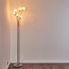 Lampadaire Kitee Chrome, Nickel mat, 6 lumières