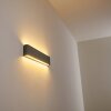 Applique murale d'extérieur Tinglev LED Gris, 2 lumières
