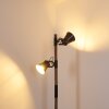 Lampadaire Oksbol Brun foncé, Gris, Acier brossé, 2 lumières