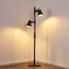 Lampadaire Oksbol Brun foncé, Gris, Acier brossé, 2 lumières