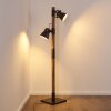Lampadaire Oksbol Brun foncé, Gris, Acier brossé, 2 lumières