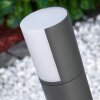 Borne lumineuse Baulund LED Anthracite, 1 lumière Borne lumineuse Baulund LED Anthracite, 1 lumière
