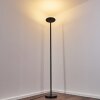 Lampadaire Wonsbek LED Noir, 1 lumière