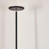 Lampadaire Wonsbek LED Noir, 1 lumière