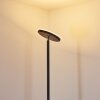 Lampadaire Wonsbek LED Noir, 1 lumière