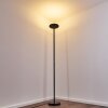 Lampadaire Wonsbek LED Noir, 1 lumière