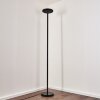 Lampadaire Wonsbek LED Noir, 1 lumière