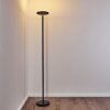 Lampadaire Wonsbek LED Noir, 1 lumière