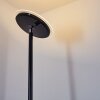 Lampadaire Wonsbek LED Noir, 1 lumière