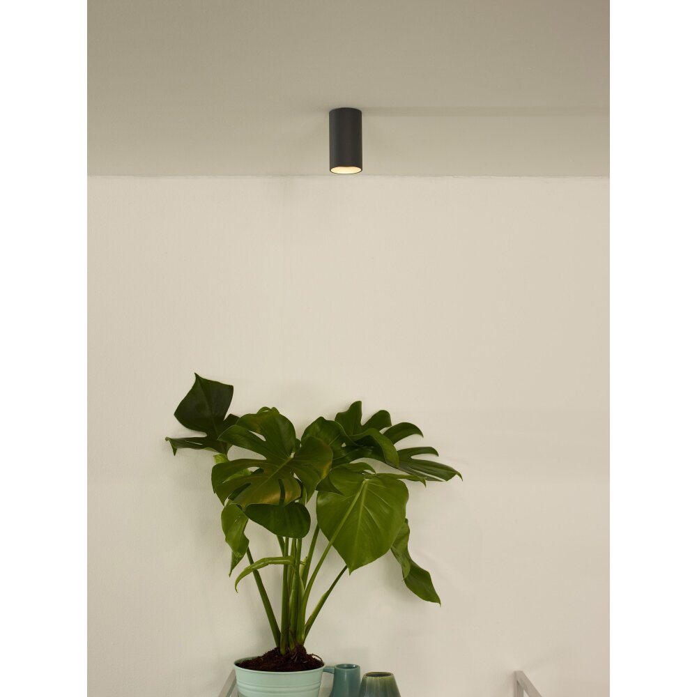 Spot de plafond Lucide DELTO LED Gris, 1 lumière main product photo