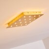 Plafonnier Pionnat LED Or, 16 lumières