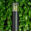 Borne lumineuse Bodio Noir, 1 lumière