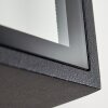 Applique murale d'extérieur Minakata Noir, 1 lumière
