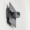 Applique murale d'extérieur Haslen LED Anthracite, 1 lumière