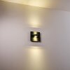 Applique murale d'extérieur Haslen LED Anthracite, 1 lumière