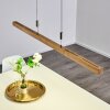 Suspension Deshka LED Argenté, 1 lumière