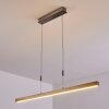 Suspension Deshka LED Argenté, 1 lumière