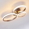 Plafonnier Volonne LED Acier inoxydable, Argenté, 3 lumières