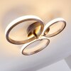 Plafonnier Volonne LED Acier inoxydable, Argenté, 3 lumières