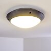 plafonnier extérieur Grafton Anthracite, 1 lumière