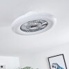 Ventilateur de plafond Petrovac LED Chrome, Blanc, 1 lumière, Télécommandes