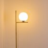Lampadaire Hogatza Laiton, 1 lumière