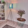 Lampadaire Kaunas Nickel mat, 1 lumière