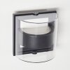 Applique murale d'extérieur Sauerbek LED Noir, 2 lumières